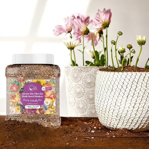 Seed dispersal with sand ensures even coverage in your flower bed