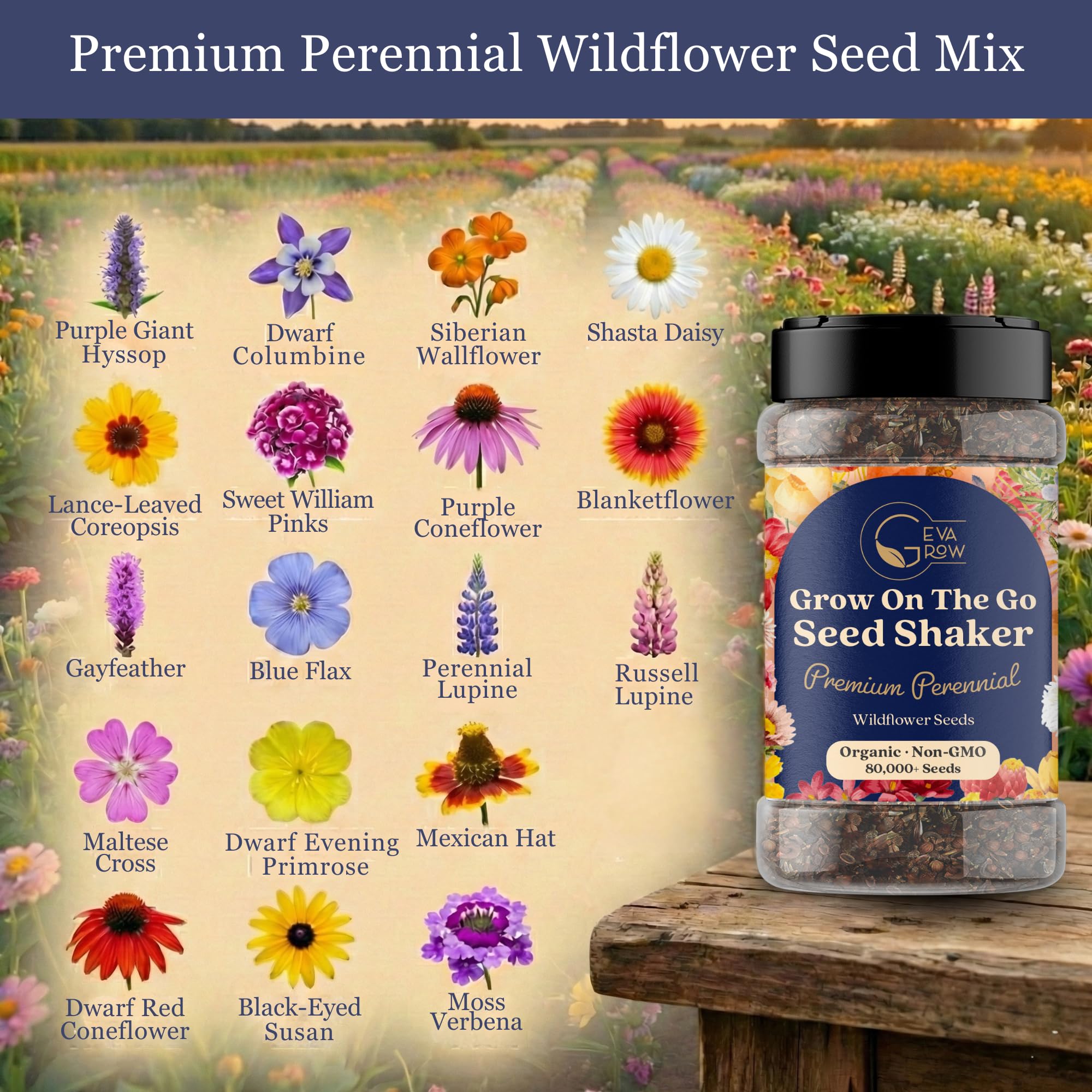 GevaGrow seed shaker dispensing seeds for easy garden sowing