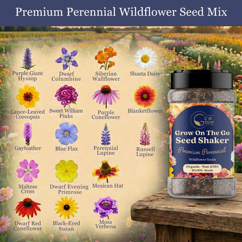 GevaGrow seed shaker dispensing seeds for easy garden sowing