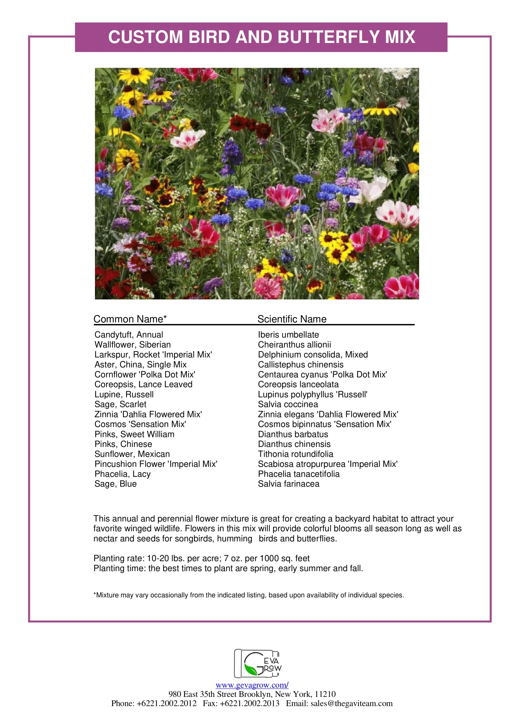 Sunny garden variety includes sunflowers and cosmos to attract pollinators