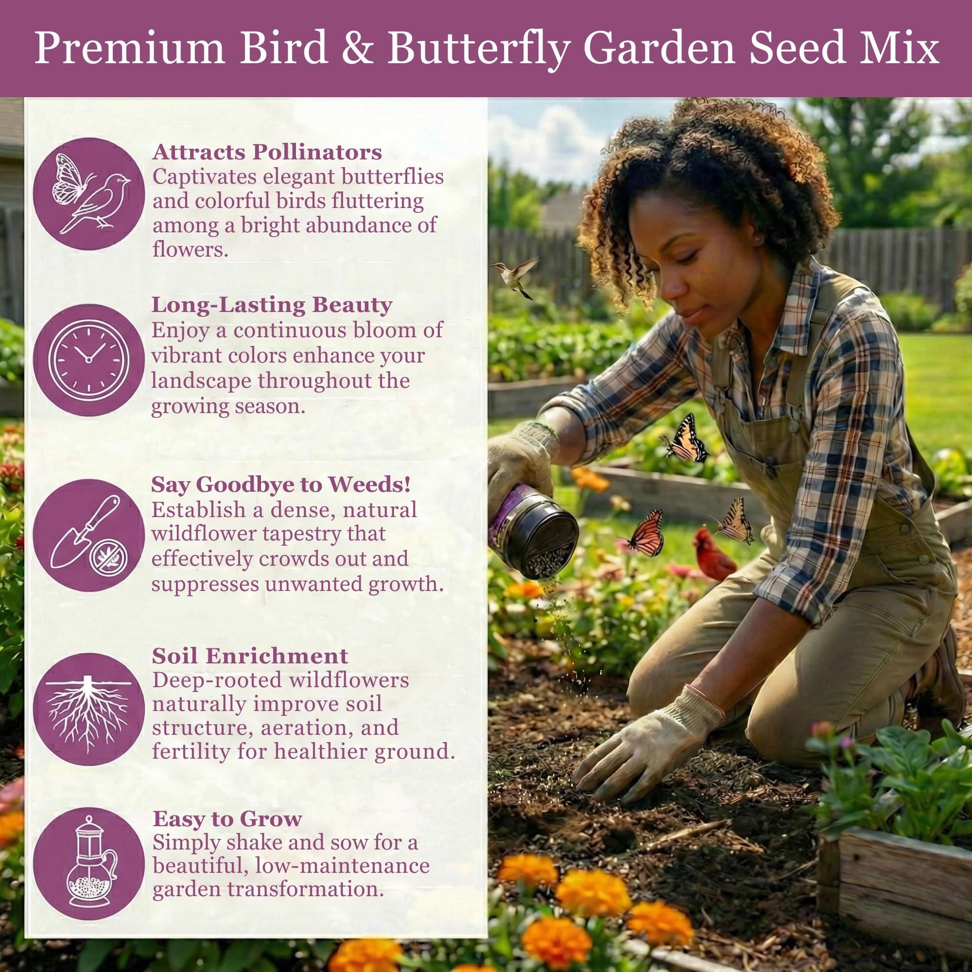 GevaGrow sunflowers, cosmos, and daisies brighten a bed.