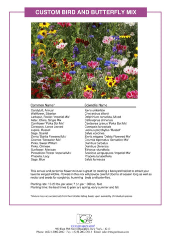 Sunny garden variety includes sunflowers and cosmos to attract pollinators