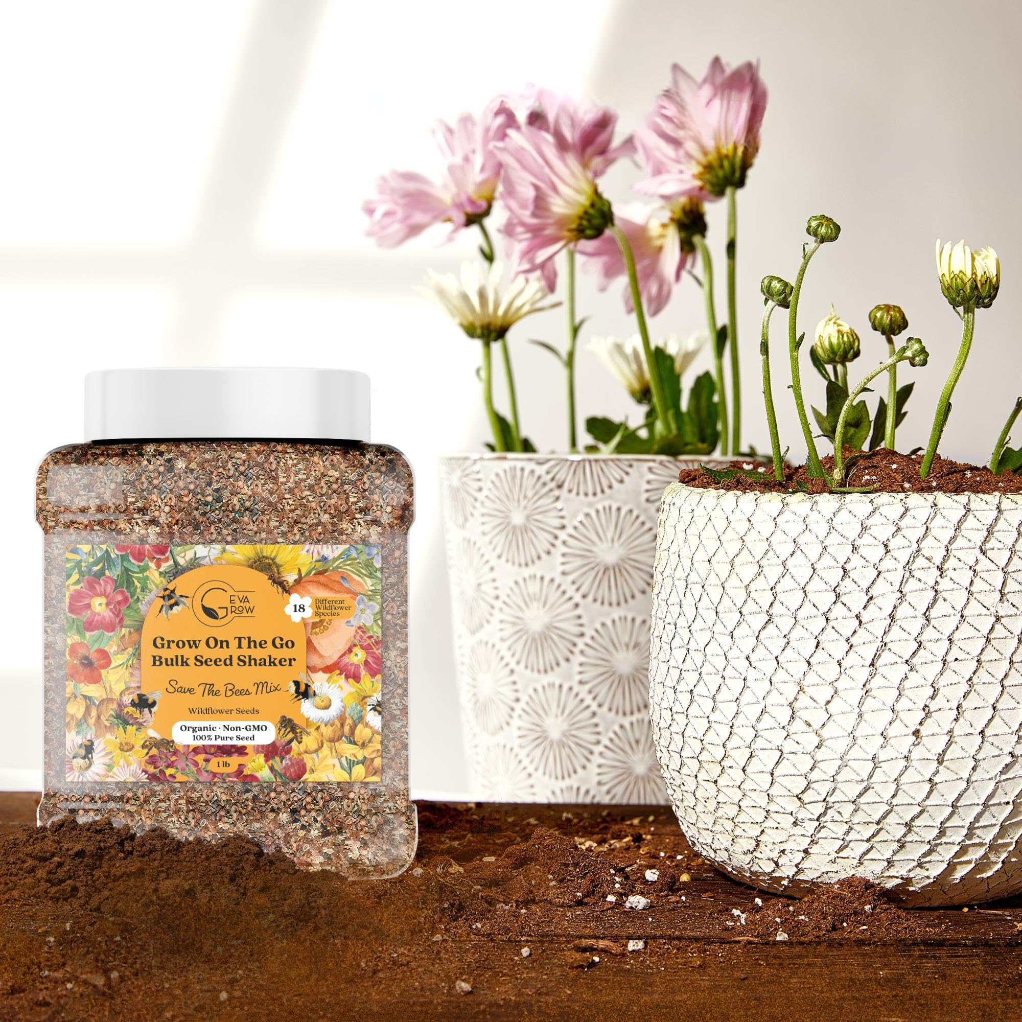 GevaGrow Wildflowers Seed Mix germination preview shows quick sprouts in varied soils.