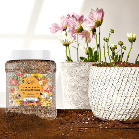 GevaGrow Wildflowers Seed Mix germination preview shows quick sprouts in varied soils.