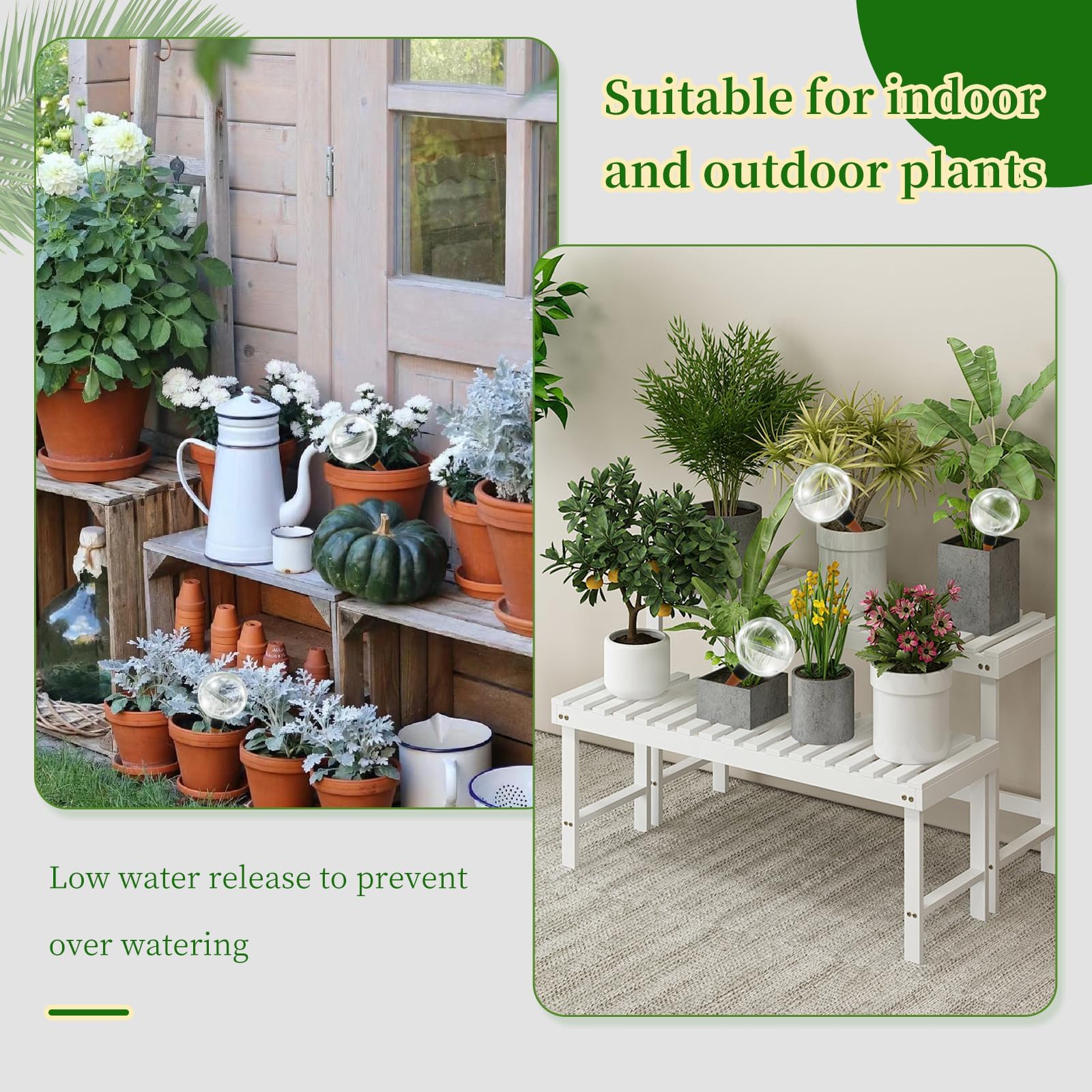 GEWOSI globes add decorative color to your plant area