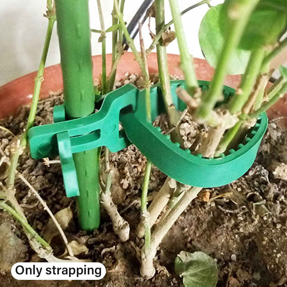 GEZICHTA easy install staking ties shown wrapping around a small trunk