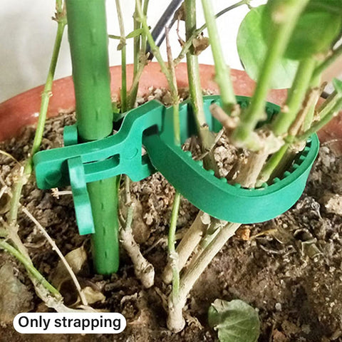 GEZICHTA easy install staking ties shown wrapping around a small trunk