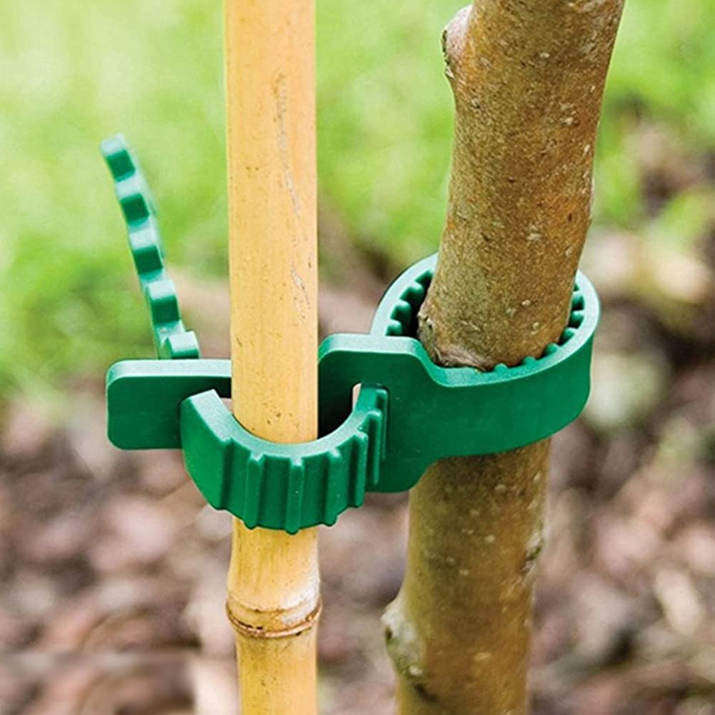 GEZICHTA tree stake band in use supports upright growth for a young tree