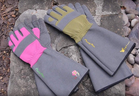 G & F Florist Pro gloves rose pruning scene shows dexterity and control.