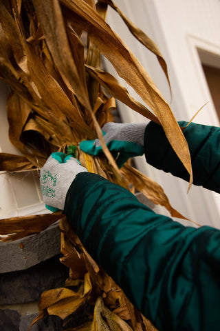G & F gloves protecting hands during digging and harvesting.
