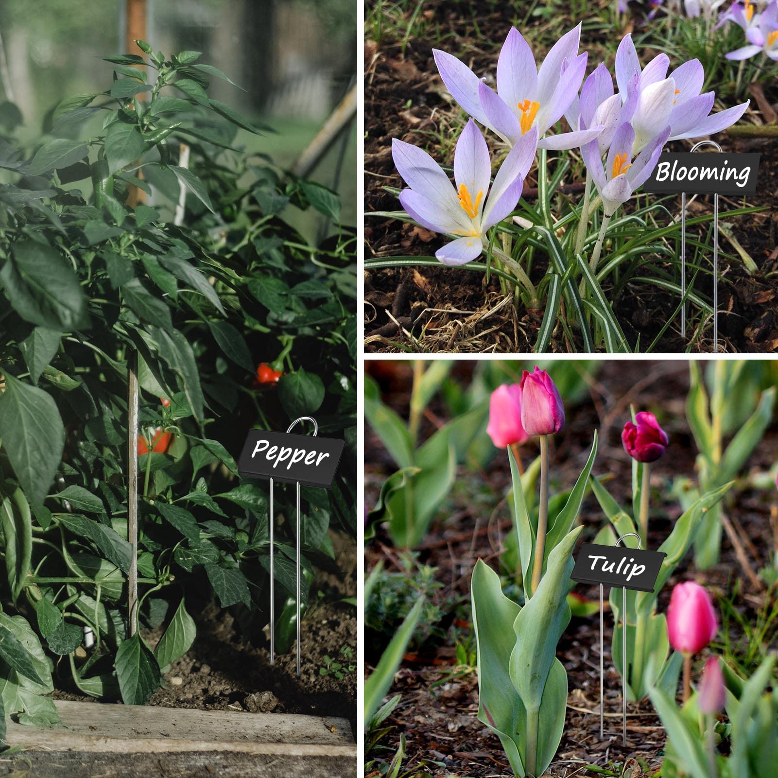 GHAMYEE greenhouse and outdoor labels set keeps garden tidy
