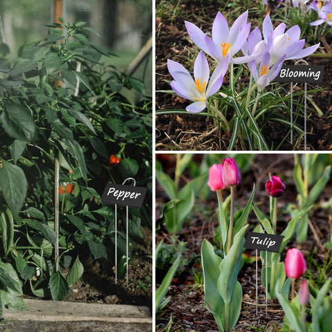 GHAMYEE greenhouse and outdoor labels set keeps garden tidy