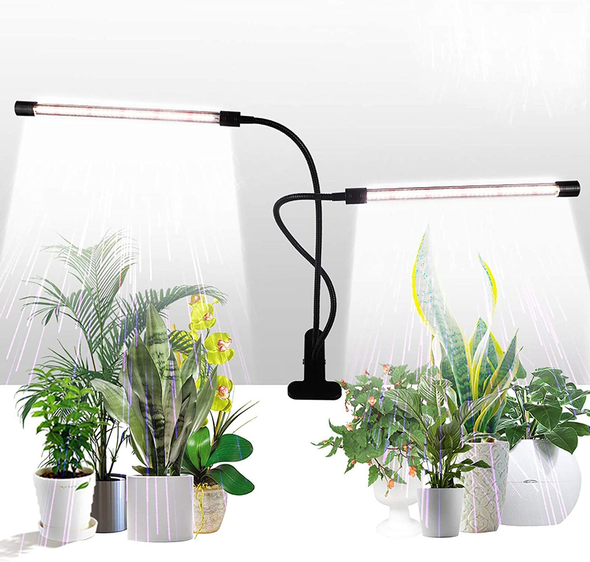 GHodec grow light with two bars provides full spectrum illumination for indoor leafy plants.