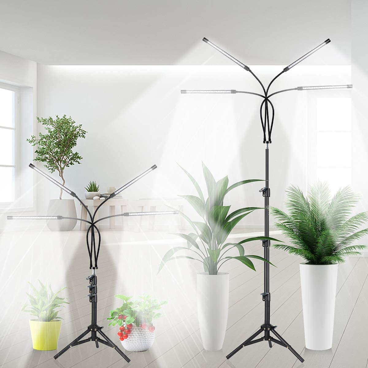 GHodec seedling growth demo under balanced light