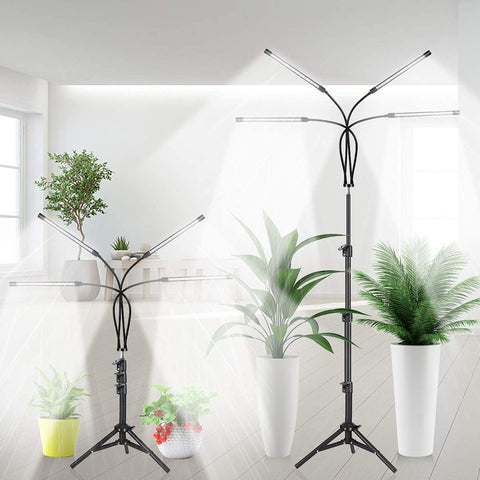GHodec seedling growth demo under balanced light