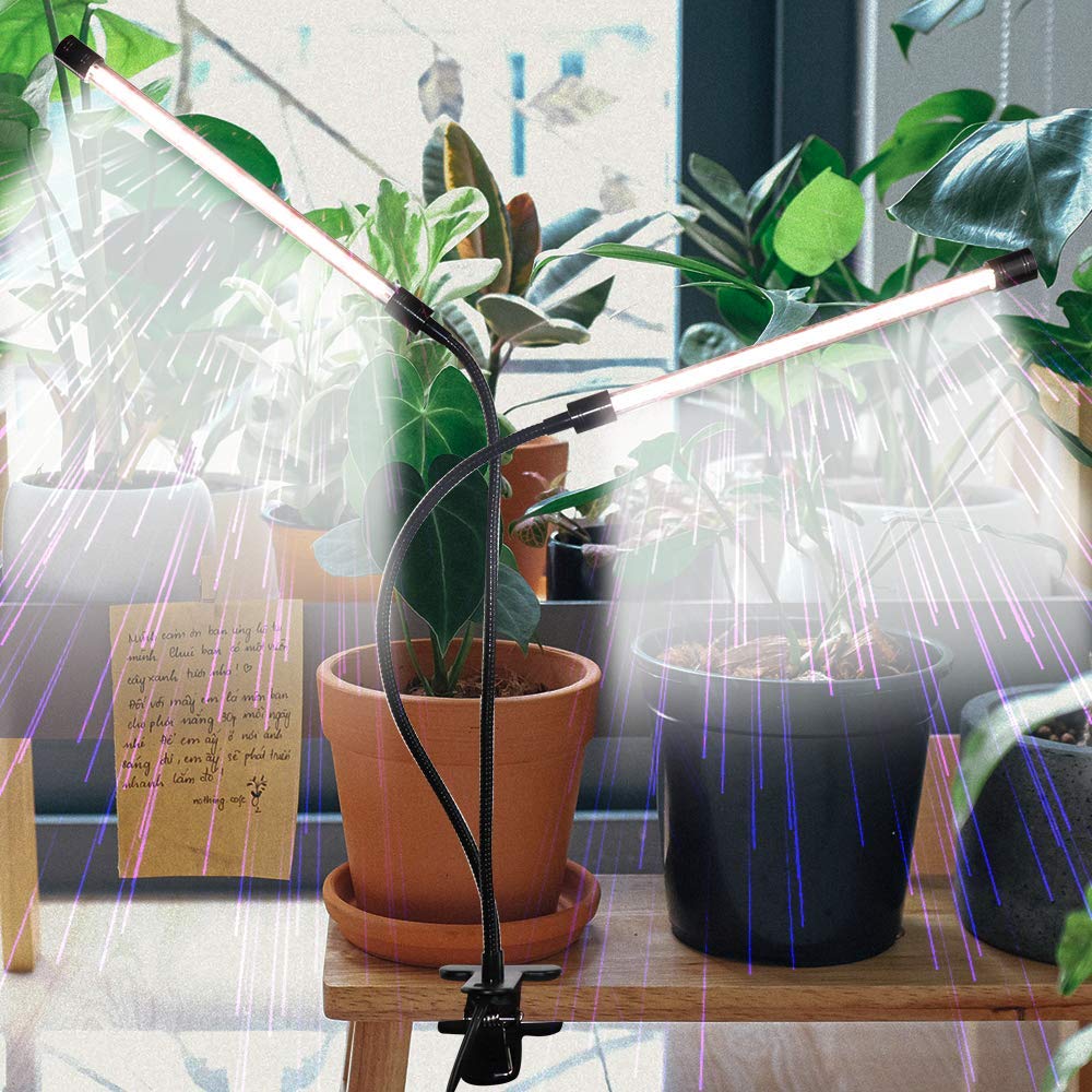 GHodec seedlings and succulents enjoy efficient light from the 84 LED setup.