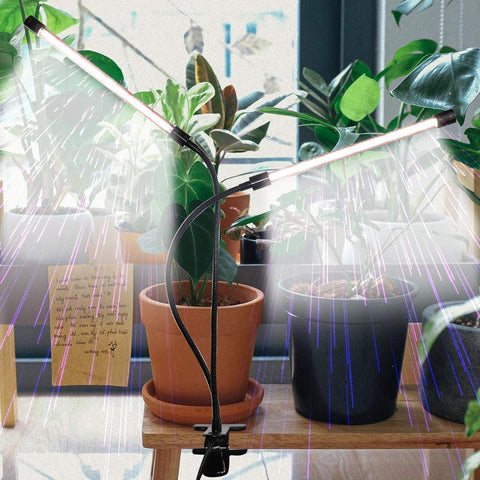 GHodec seedlings and succulents enjoy efficient light from the 84 LED setup.