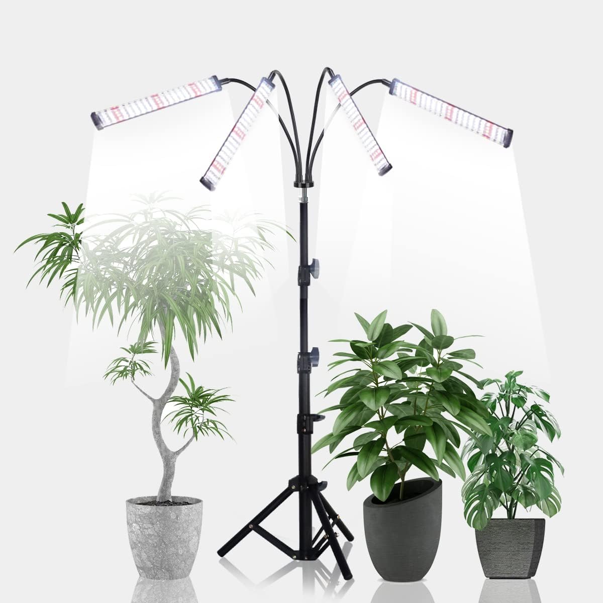GHodec Grow Light with Stand in full-spectrum gooseneck setup for thriving indoor greens.