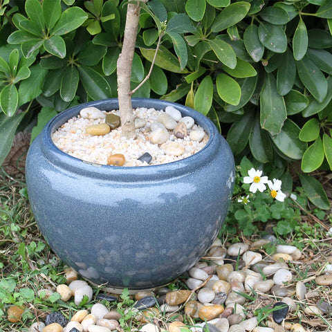 GHYTMTHOT natural decorative sand adds color to plant displays