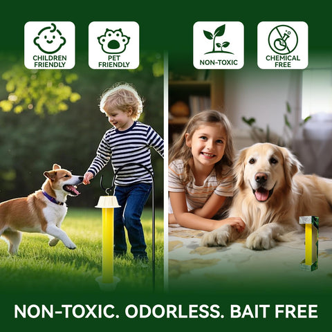 Gideal fly trap ideal for indoor and outdoor fly control.
