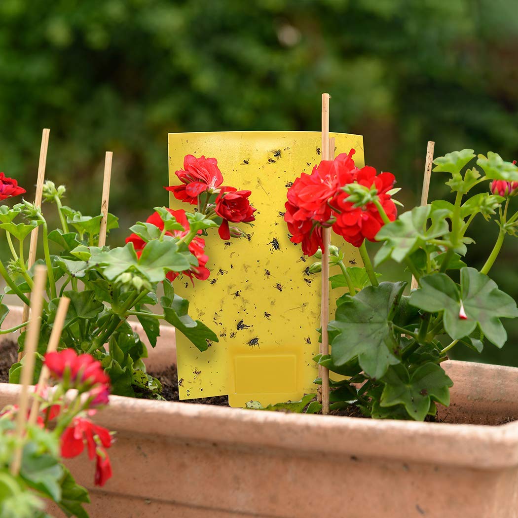 Gideal UV-resistant adhesive ensures durable capture.