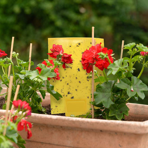 Gideal UV-resistant adhesive ensures durable capture.