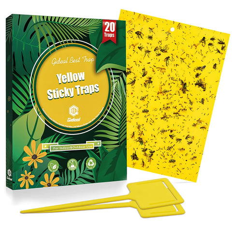 Gideal yellow sticky trap 6x8 inches attracts flying insects for gardens and homes.