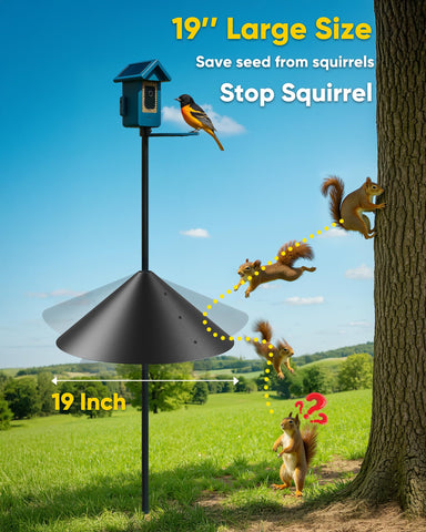 GIEERE weather-ready dome baffle shields seeds from rain and snow.