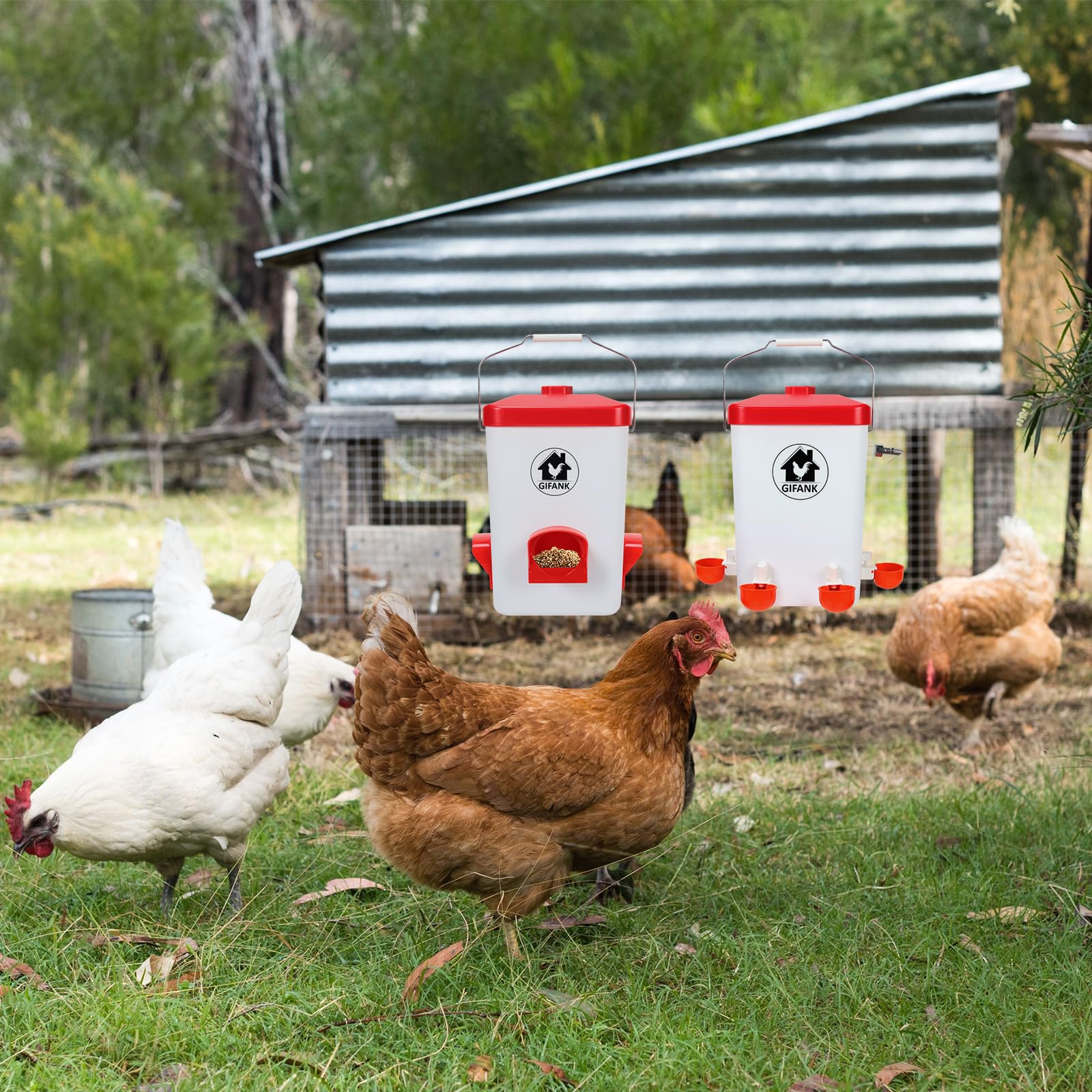 GIFANK anti-roosting cone keeps chickens off the bucket