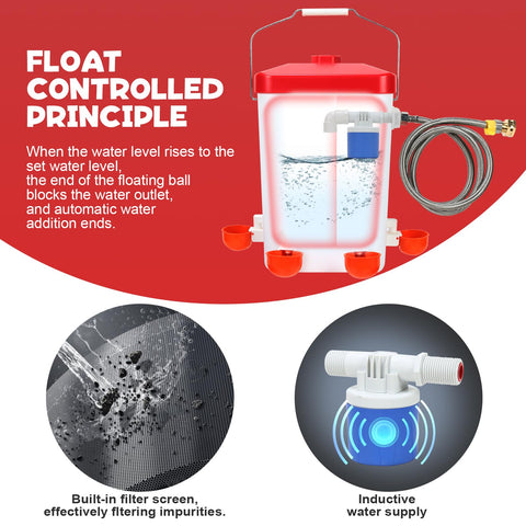 GIFANK BPA-free materials ensure safe, durable coop equipment