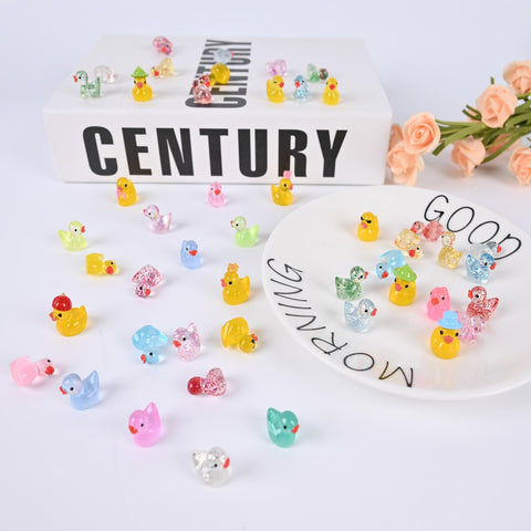 GIFOHAPY resin ducks packaging with details