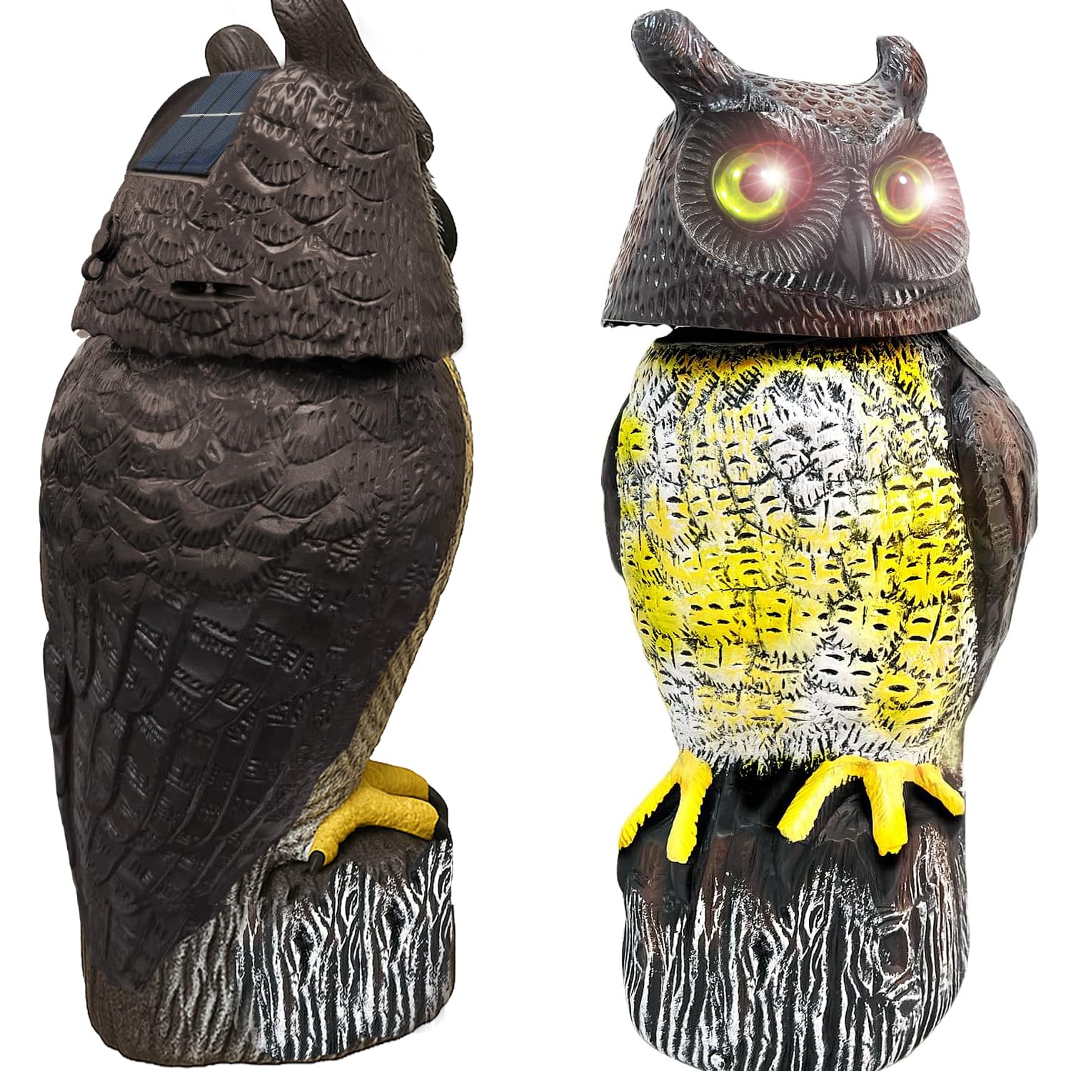 GiftExpress life-size owl guards garden and balcony.