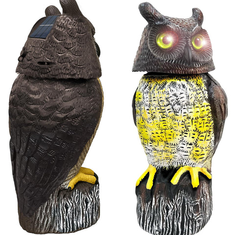 GiftExpress life-size owl guards garden and balcony.
