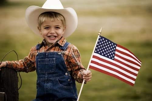 GiftExpress small American flag set perfect for graduations and events.