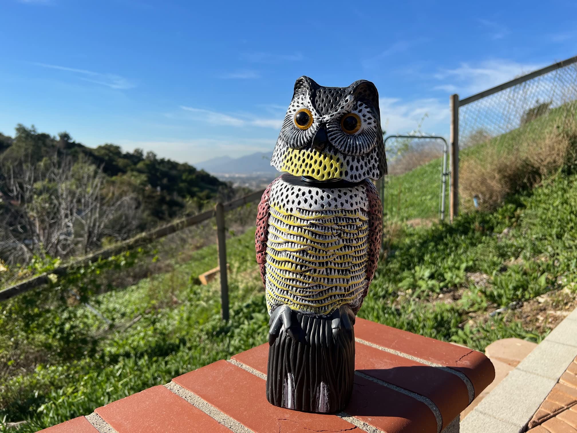 GiftExpress owl decoy size close up conveys lifelike feathers and color.