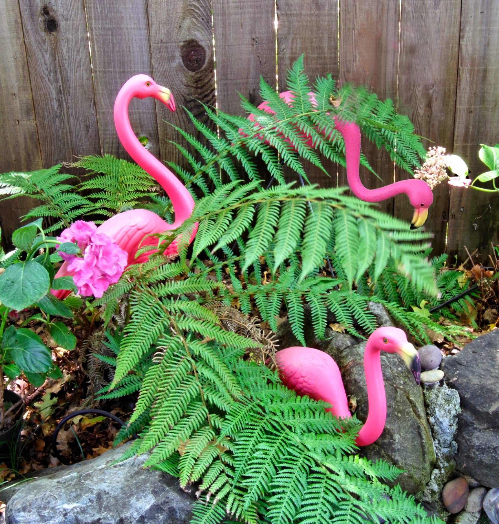 GiftExpress flamingos close-up shows embossed feather pattern and beak detail.