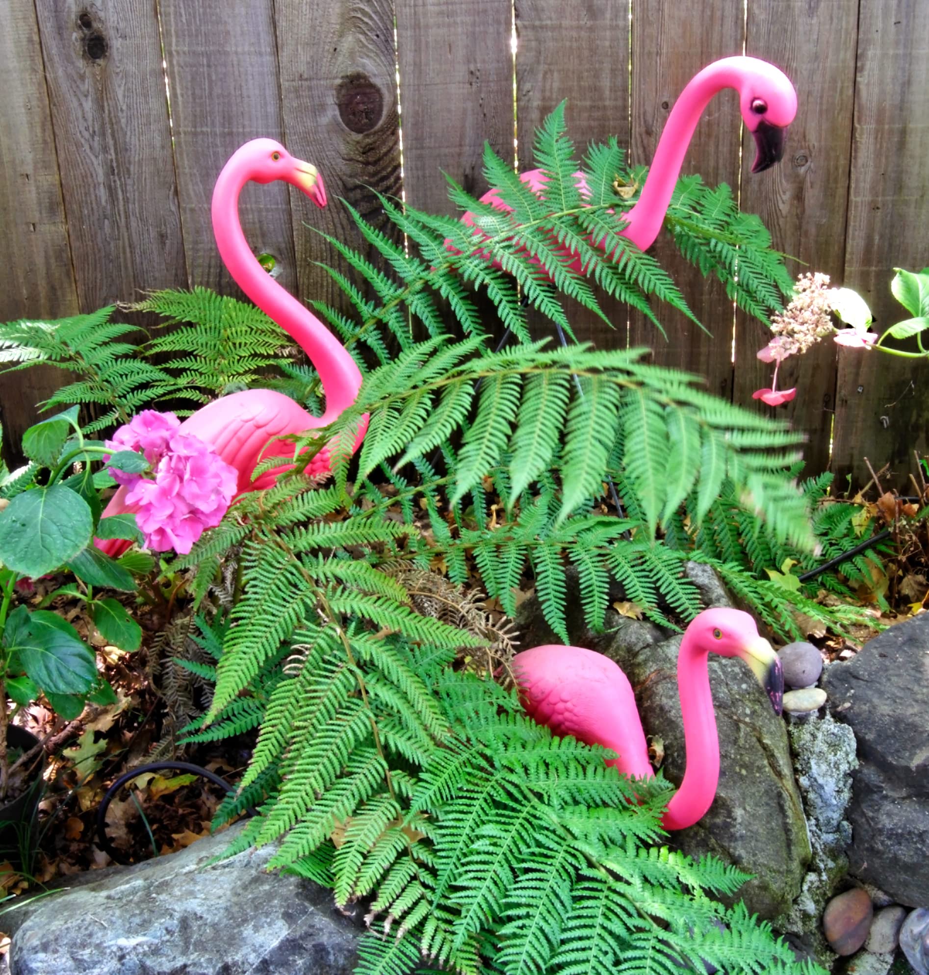 GiftExpress pair of flamingos with sturdy stainless steel legs resist rust on lawns.