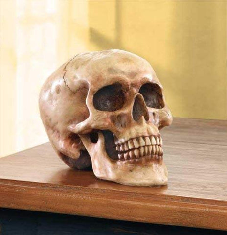 Gifts & Decors grinning skull showing polyresin craftsmanship for durable, striking decor.