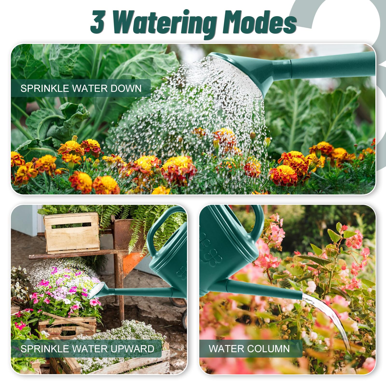 Giftsfaloy one gallon capacity supports multiple plants per fill