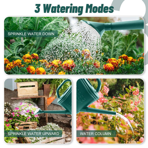 Giftsfaloy one gallon capacity supports multiple plants per fill