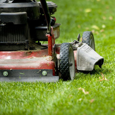 GIGOOL 7 inch wheel pair boosts cart maneuverability on uneven ground.
