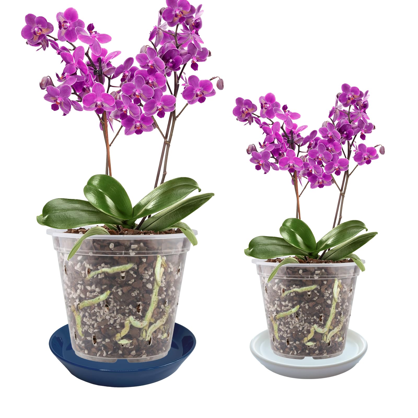 GIKUPOM 2-pack-saucer-set simplifies pot organization and steady movement.