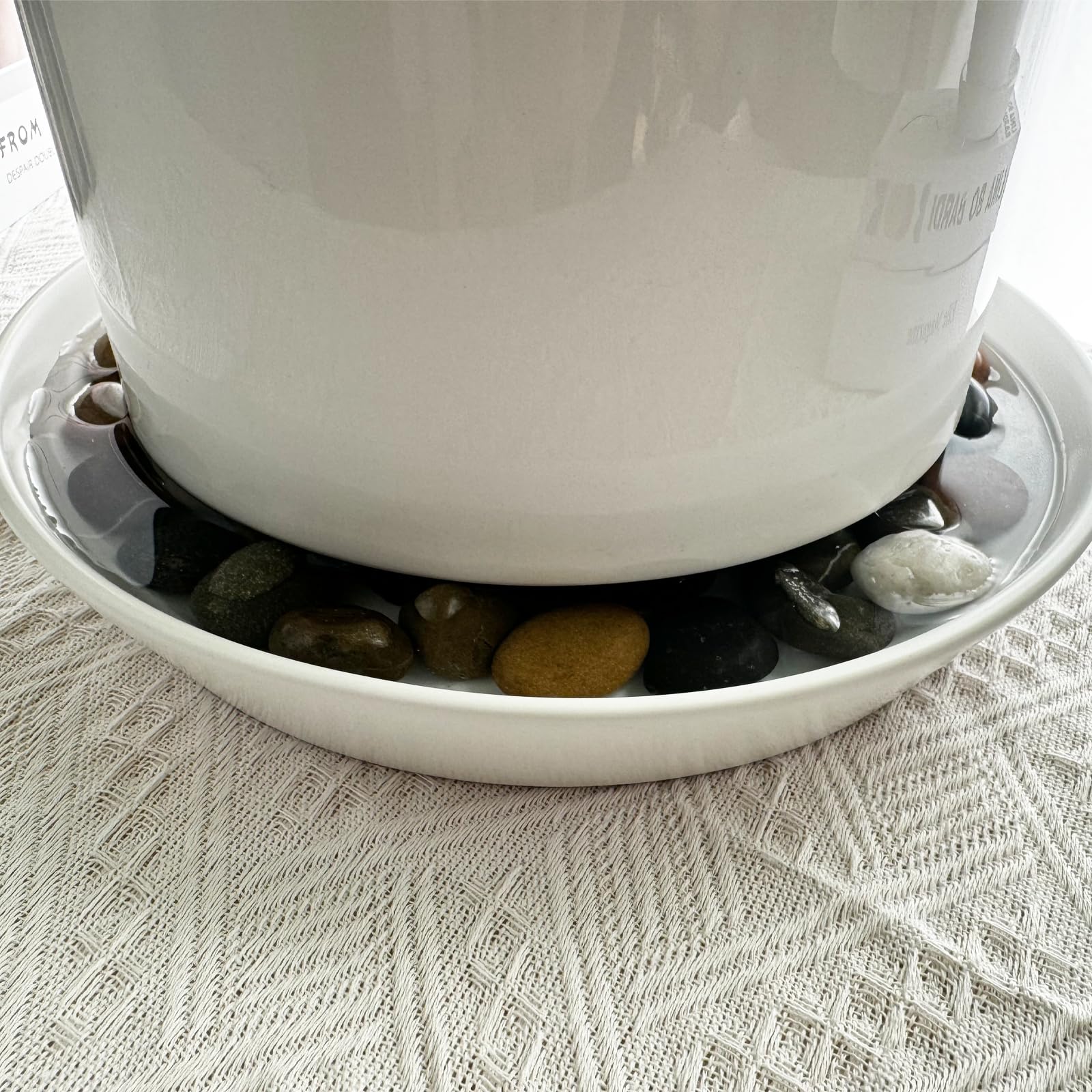 Gikupom 10-inch leak-proof bottom saucer prevents moisture damage.