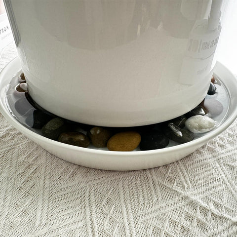 Gikupom 10-inch leak-proof bottom saucer prevents moisture damage.