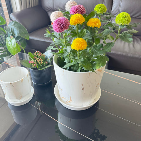 GIKUPOM scratch-resistant ceramic-saucer maintains glossy look amid daily outdoor use.