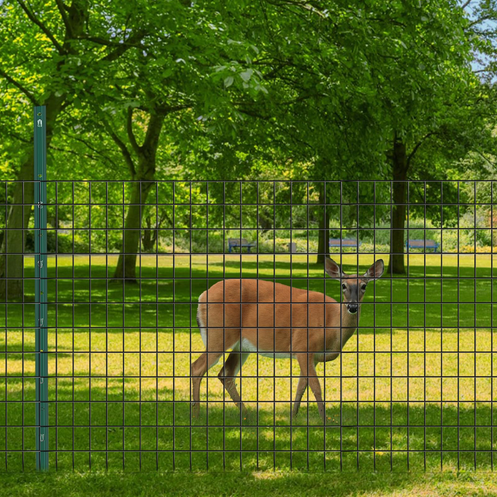 GILPWA anti rust wire mesh with glossy coating in daylight
