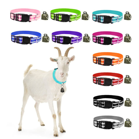 GINDOOR reflective goat collar with crisp bells for night visibility.