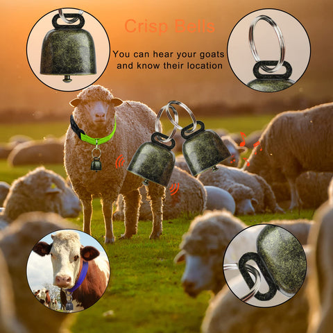 GINDOOR anti-loss brass bell on durable collar ensuring clear sound.
