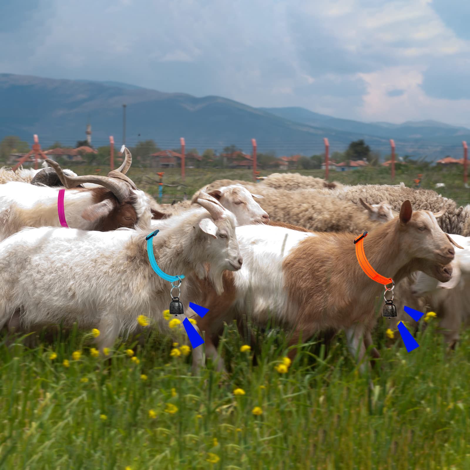 GINDOOR collar width 0.98 inch fits various livestock comfortably.