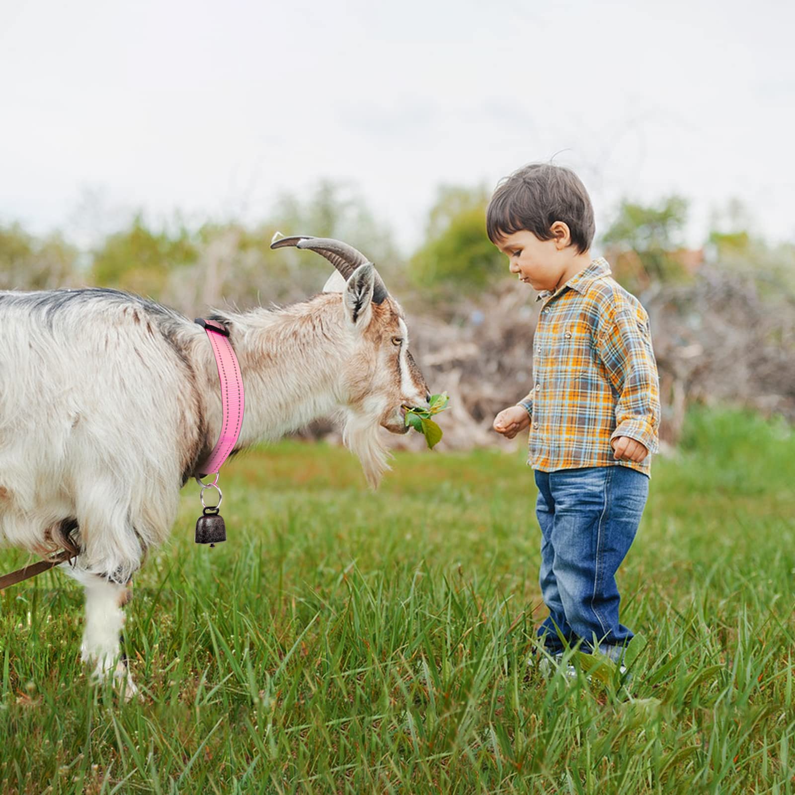 GINDOOR adjustable length 13.7–20.5 inches suits goats and sheep.